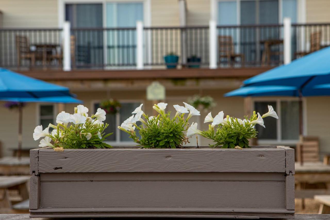 Aqualina Inn Montauk (Adults Only) Buitenkant foto